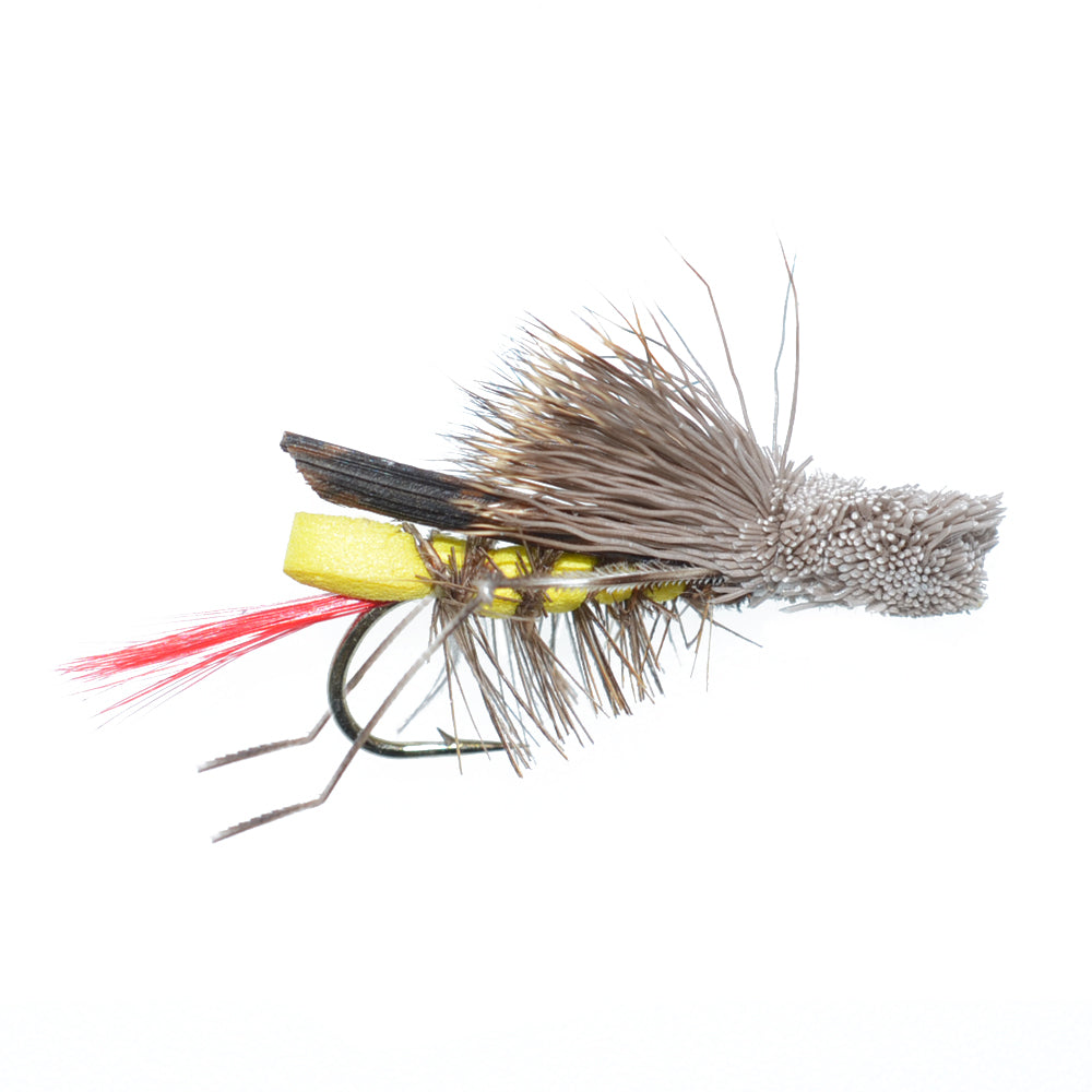 Trout Flies Assortment - 24 Flies for Trout Fly Fishing with Fly Box - Essential Dry and Wet Fly Selection