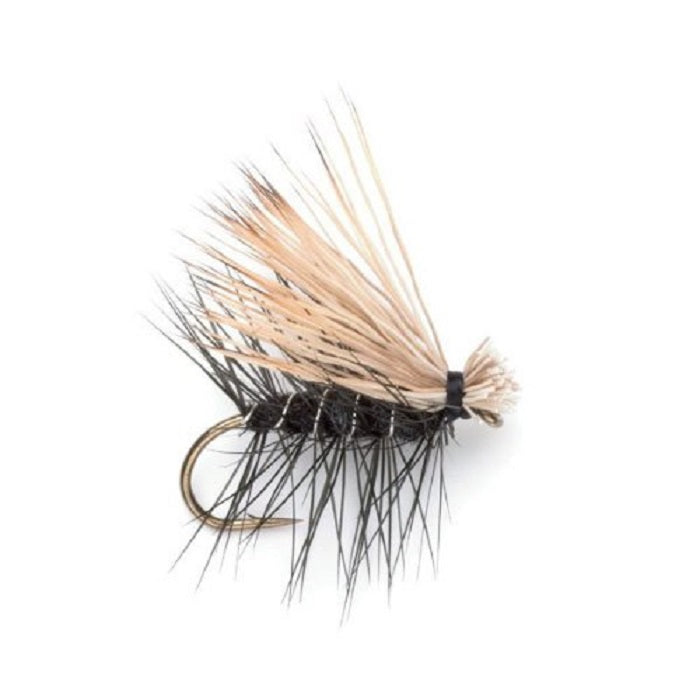 Trout Flies Assortment - 24 Flies for Trout Fly Fishing with Fly Box - Essential Dry and Wet Fly Selection